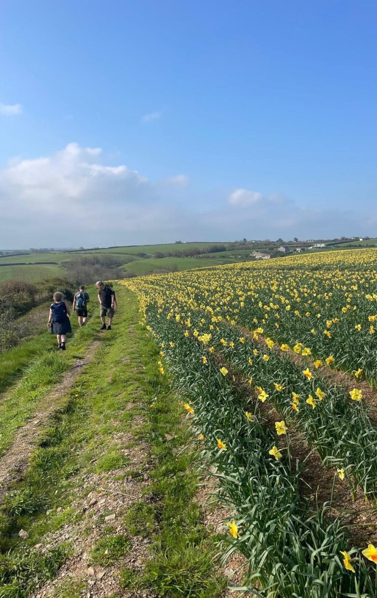 Looe and beyond walk